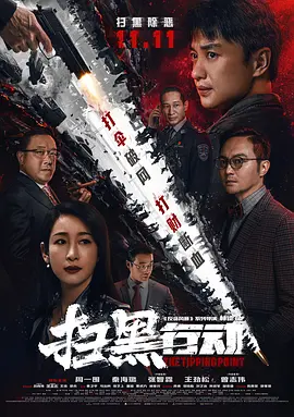 扫黑行动(2022)