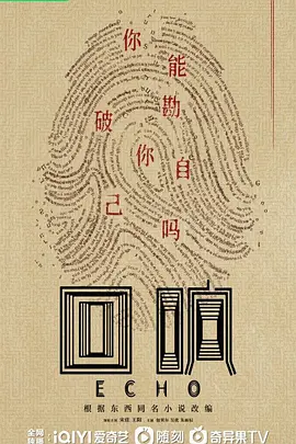 回响(2023)
