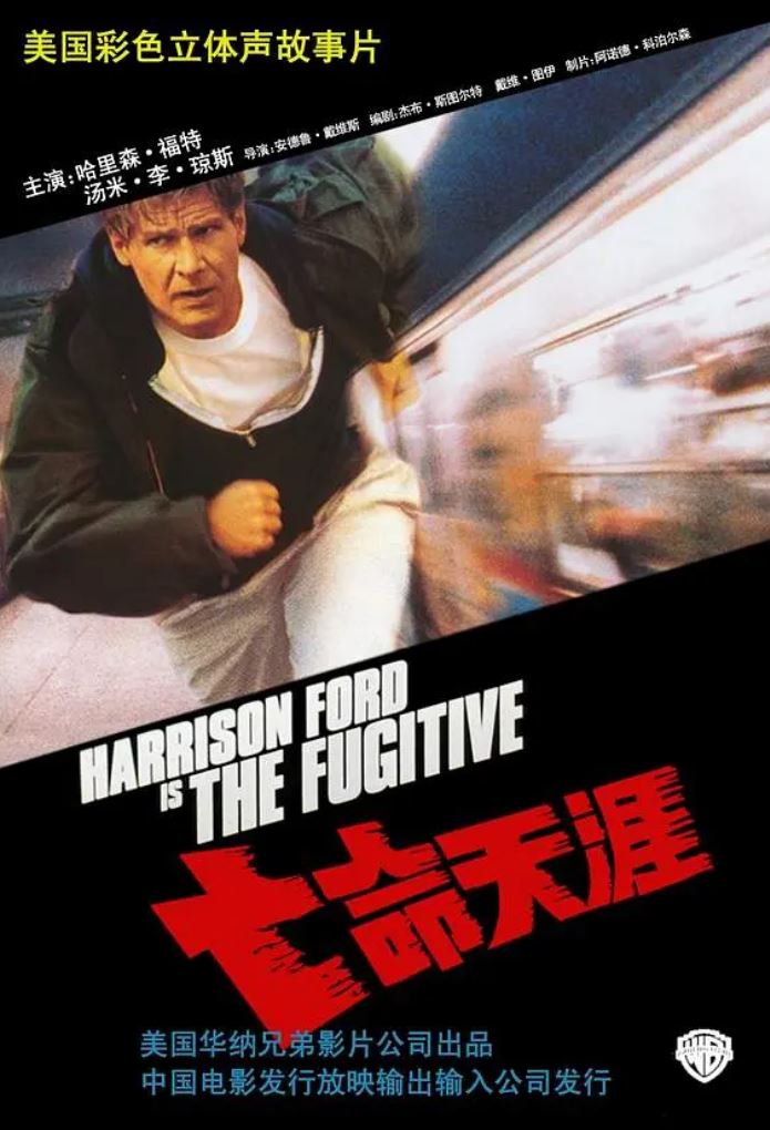 亡命天涯(1993)