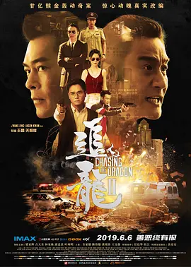 追龙Ⅱ/追龍2：賊王(2019)