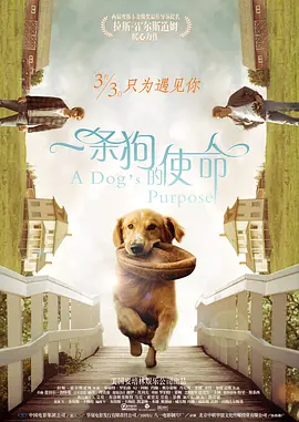 一条狗的使命(2017)