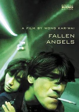 堕落天使(1995)