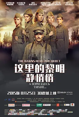 这里的黎明静悄悄 (2015)