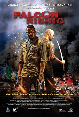 猎鹰突起 Falcon Rising(2014)