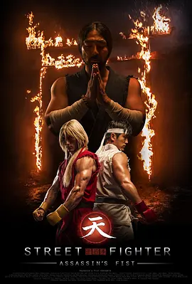街头霸王：暗杀拳(2014)