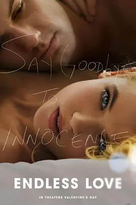 无尽的爱(2014)