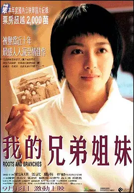 我的兄弟姐妹(2001)