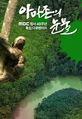 亚马逊的眼泪(2010)