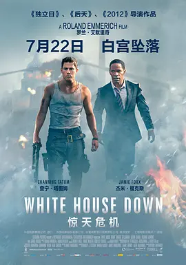 惊天危机(2013)
