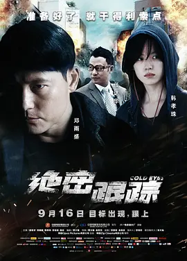 绝密跟踪(2013)