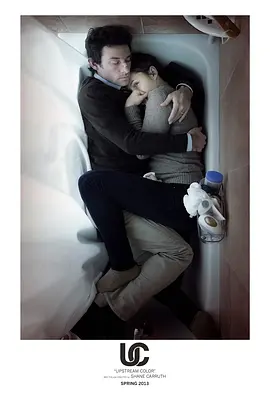 逆流的色彩(2013)