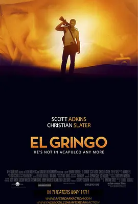 边境大逃亡 El Gringo(2012)