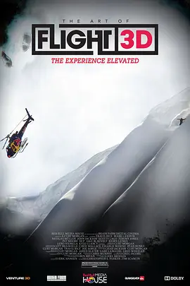 飞翔的艺术 The Art of Flight(2011)