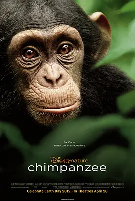 黑猩猩 Chimpanzee(2012)