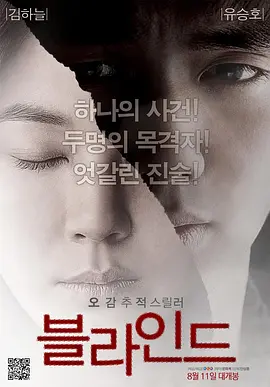 盲证(2011)
