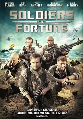 雇佣兵 Soldiers of Fortune(2012)