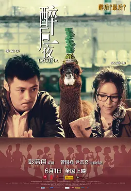 醉后一夜(2012)