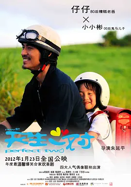 新天生一对(2012)