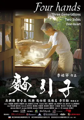 面引子(2011)