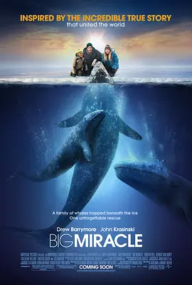 鲸奇 Big Miracle(2012)