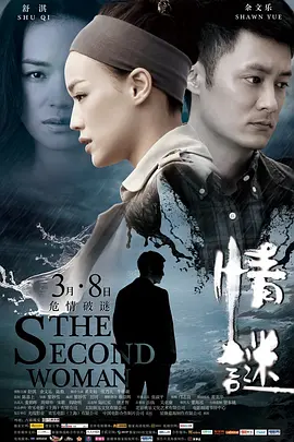 情谜(2012)