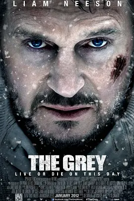 人狼大战 The Grey(2011)