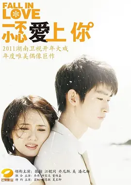 一不小心爱上你/我兄弟的新娘(2011)