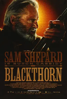 黑荆棘 Blackthorn(2011)
