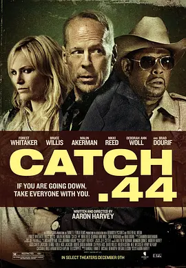 第44条军规 (2011)