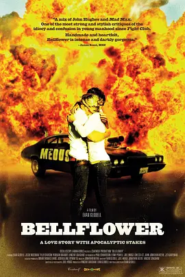 风铃草(2011)