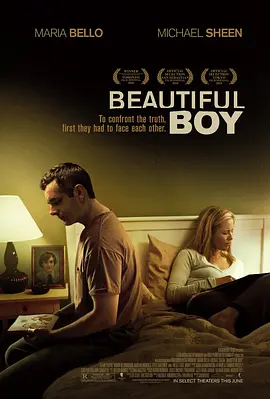 漂亮男孩 Beautiful Boy(2010)