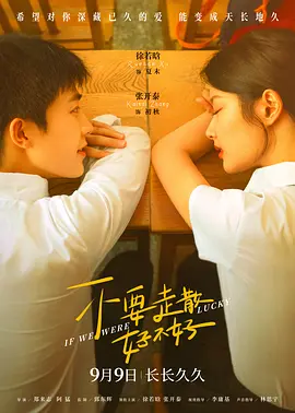 不要走散好不好(2023)