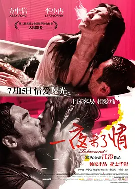 一夜未了情(2011)