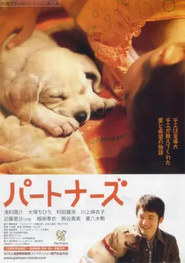 陪伴(2010)