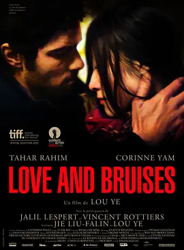 花 Love and Bruises(2011)