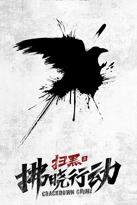 扫黑之拂晓行动(2024)