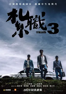 扎职3(2024)