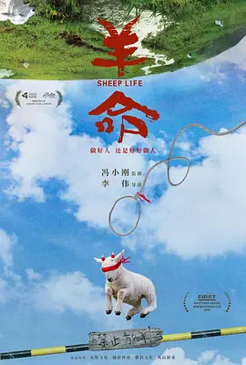羊命(2024)