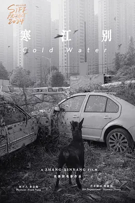 寒江别(2026)