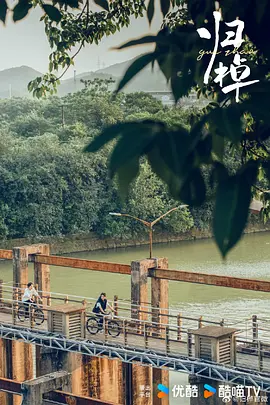 归棹(2024)