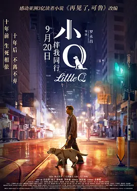 小Q(2019)