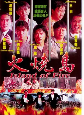 火烧岛 (1991)
