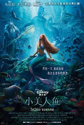 小美人鱼(2023)