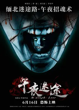 午夜迷途(2013)