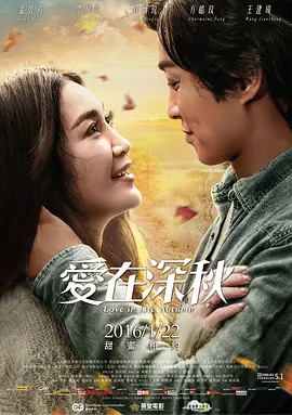 爱在深秋(2016)