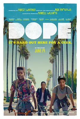 酷毙了 Dope(2015)