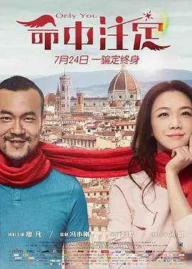 命中注定(2015)