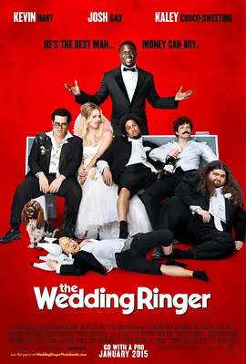 定制伴郎 The Wedding Ringer(2015)
