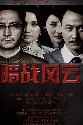 暗战风云(2013)