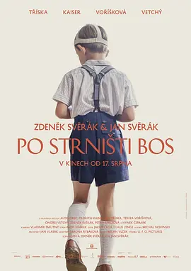赤足 Po strnisti bos(2017)